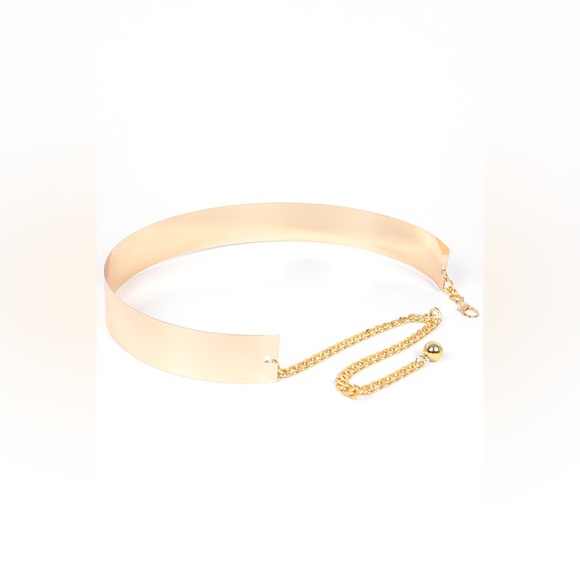 Metal Waist Corset Statement Belt - Picture 4 of 4